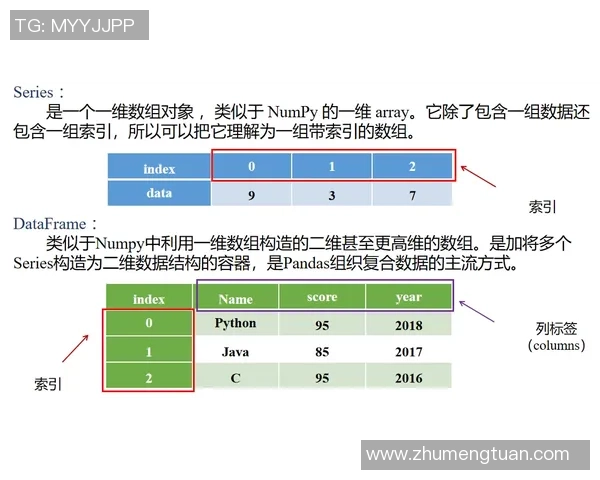 利用计算机科学算法优化大规模彩池制赔率计算的研究与应用